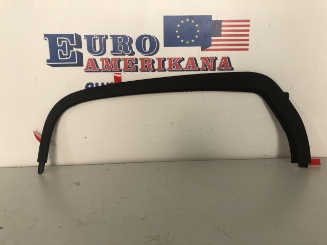 Rear Molding (left)